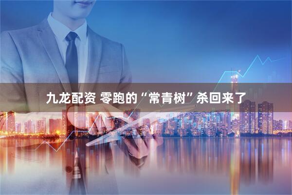 九龙配资 零跑的“常青树”杀回来了