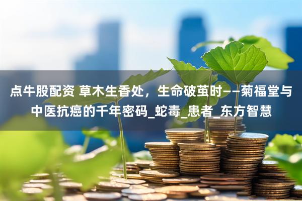 点牛股配资 草木生香处，生命破茧时——菊福堂与中医抗癌的千年密码_蛇毒_患者_东方智慧