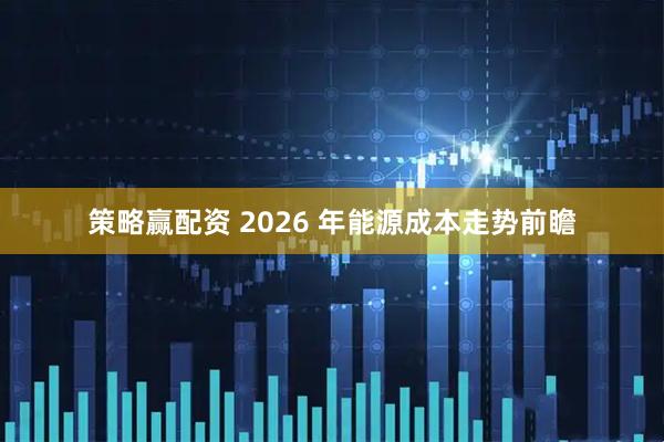 策略赢配资 2026 年能源成本走势前瞻