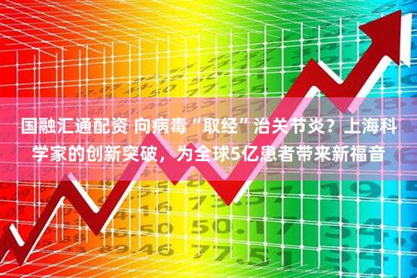 国融汇通配资 向病毒“取经”治关节炎？上海科学家的创新突破，为全球5亿患者带来新福音