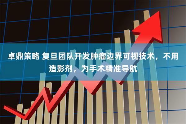 卓鼎策略 复旦团队开发肿瘤边界可视技术，不用造影剂，为手术精准导航